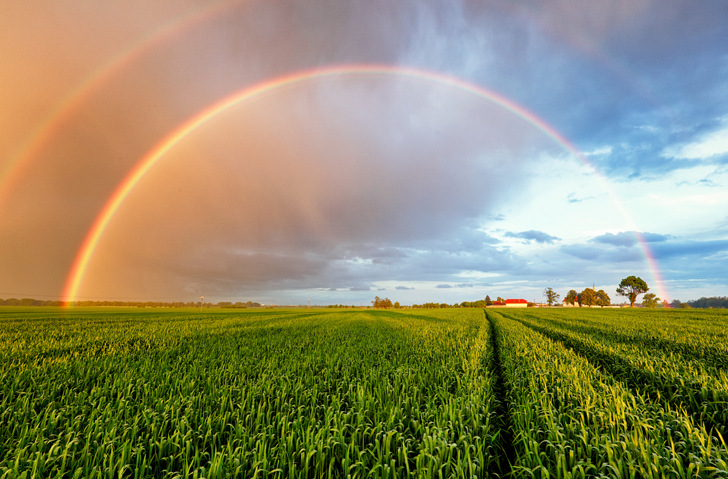 Agri-Food Pilot